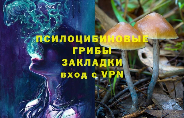 спиды Протвино
